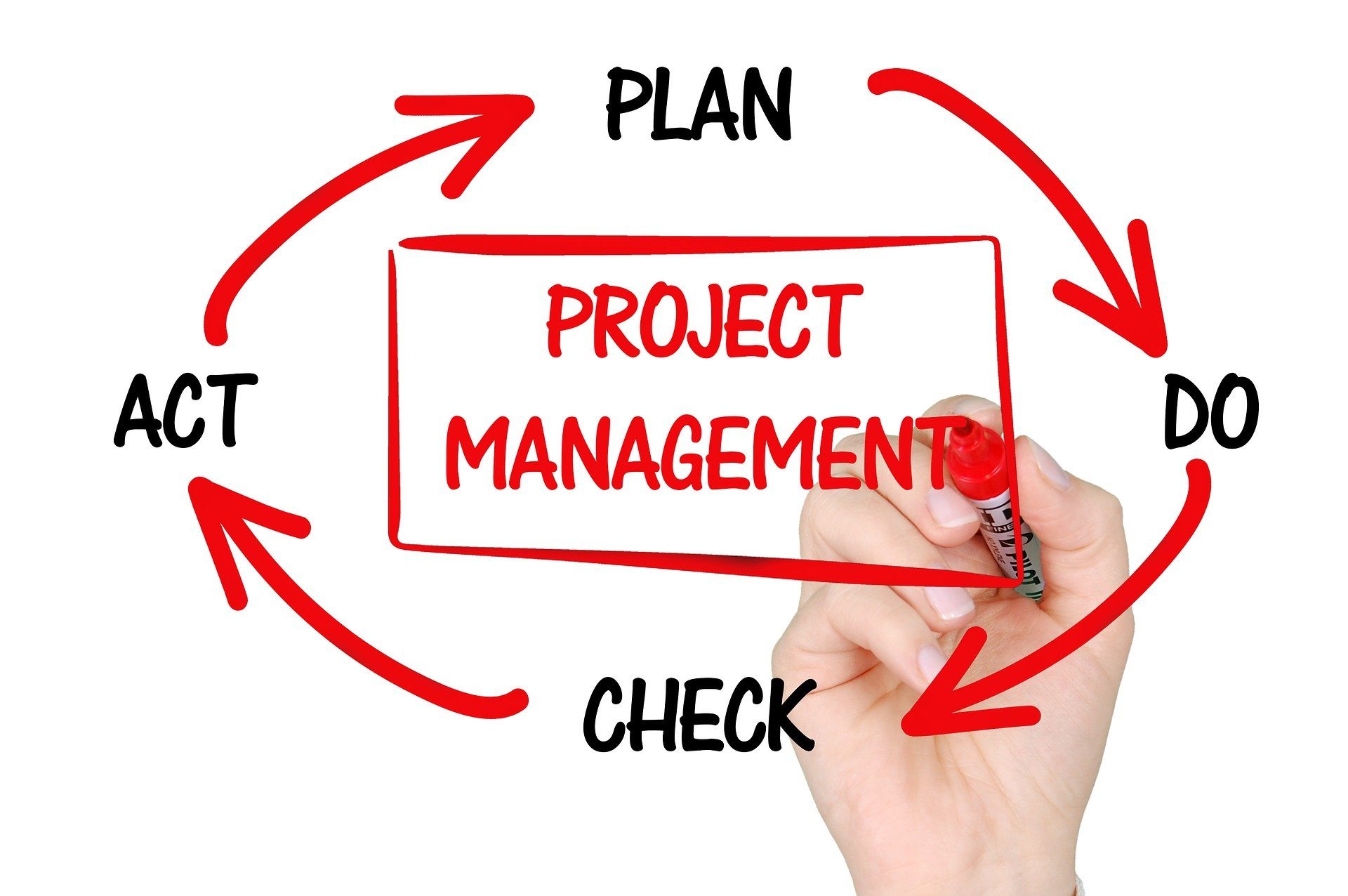 What is the job of a project manager